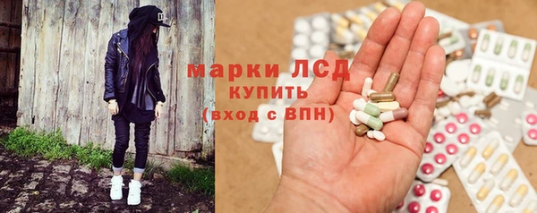 молекула духа Заволжье