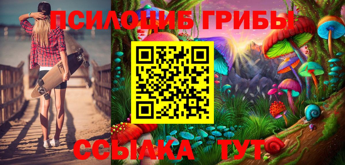Псилоцибиновые грибы GOLDEN TEACHER Урюпинск